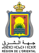 Conseil de la Région de l'Oriental